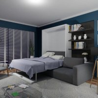 Шкаф-кровать подростковая с диваном  42